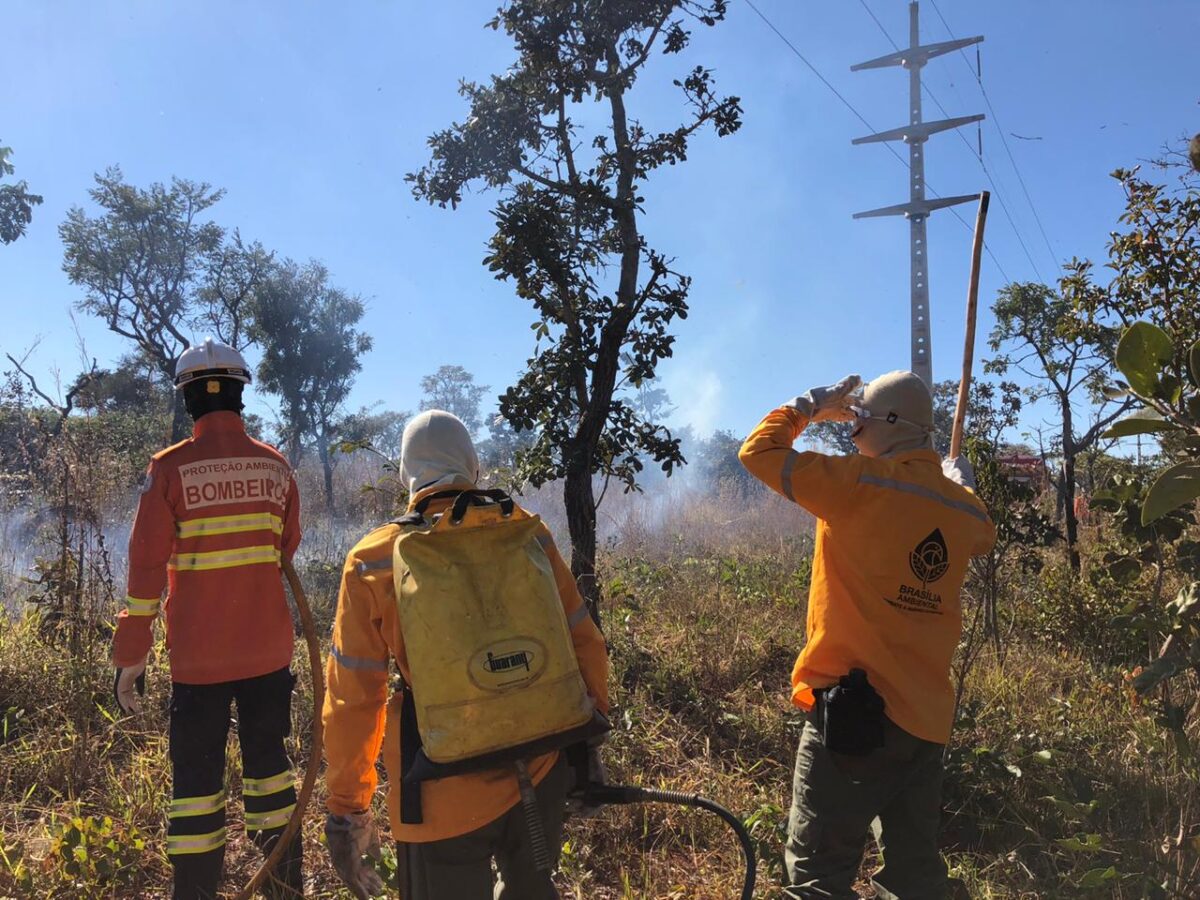 Sai edital para contratação de brigadistas florestais