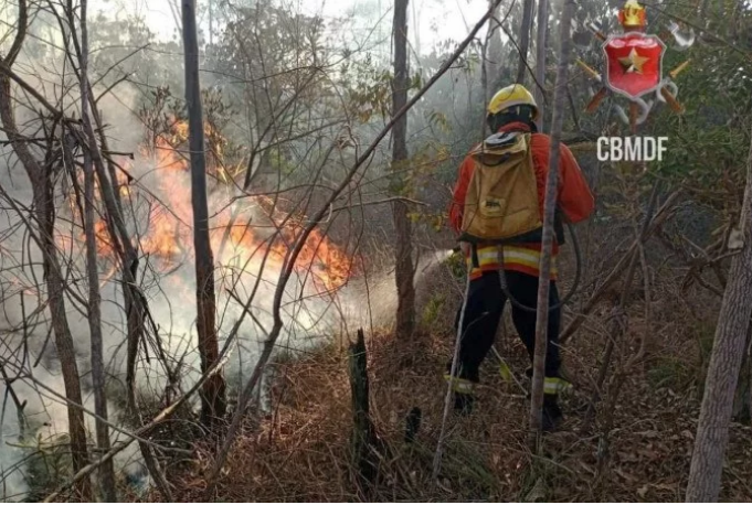 Incêndio na Flona é controlado; mais de 170 hectares foram atingidos