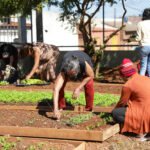 Hortoterapia vira ferramenta de cuidado e inclusão no Centro de Convivência do Idoso de Santa Maria
