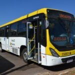 Vai de Graça terá novas linhas de ônibus e mais viagens a partir deste domingo