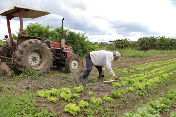 Prorrogado prazo para regularização de dívidas de produtores rurais do DF