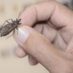 “Quem tem Chagas, tem pressa”: projeto busca tratar pacientes mais perto de casa