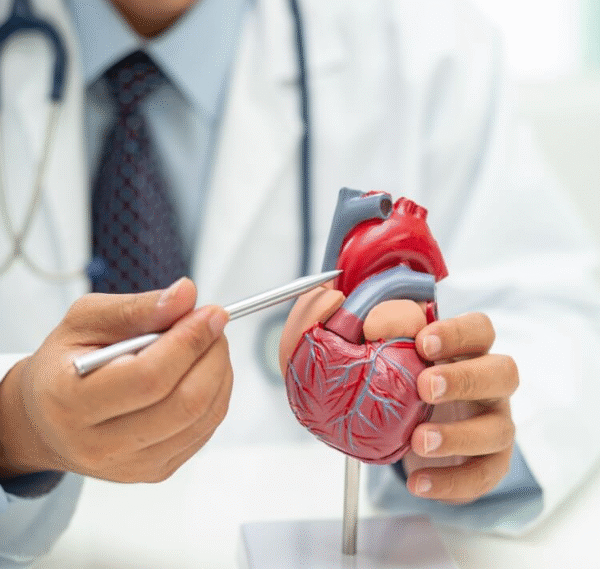 Seis passos para manter a saúde cardiovascular em dia