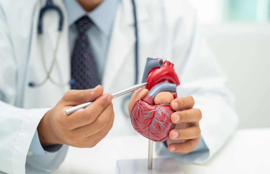 Seis passos para manter a saúde cardiovascular em dia