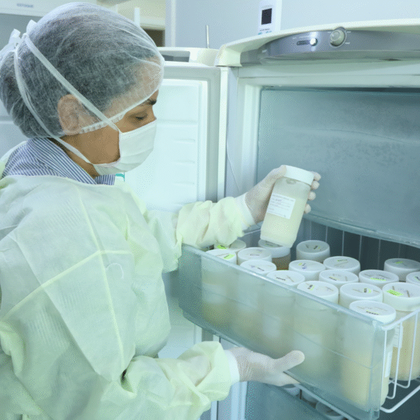 Média de coleta mensal na rede de bancos de leite&hellip;