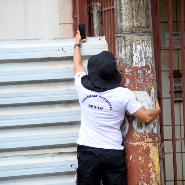 Período chuvoso no DF exige atenção redobrada contra a dengue