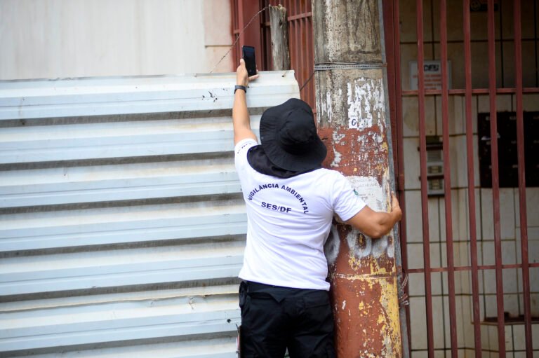 Período chuvoso no DF exige atenção redobrada contra a dengue