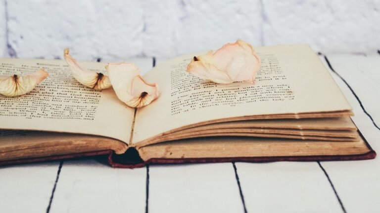 Conheça a Palavra por si mesmo