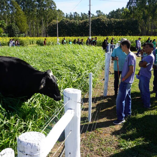 Circuito da Bovinocultura na AgroBrasília tem foco na produção de&hellip;