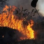 Mais de 500 municípios têm risco alto de fogo previsto até novembro, aponta governo