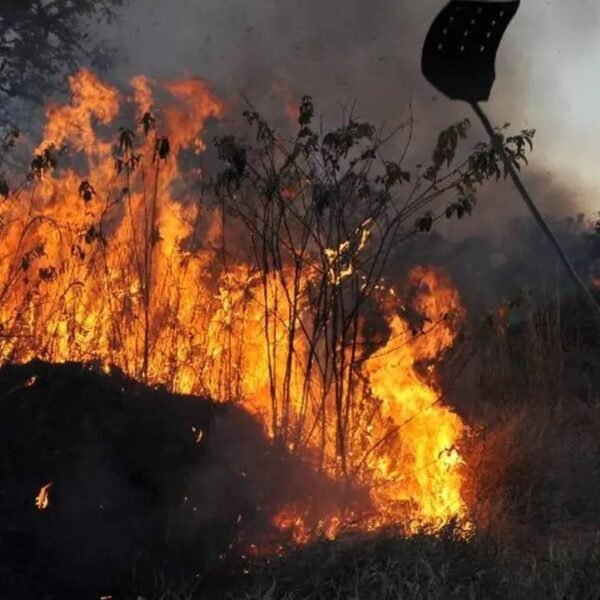 Mais de 500 municípios têm risco alto de fogo previsto&hellip;